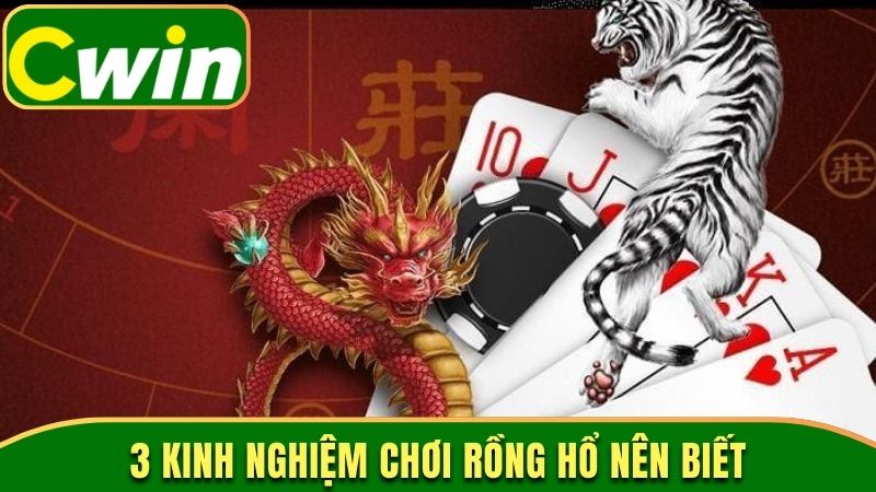 3 kinh nghiệm chơi Rồng Hổ nên biết