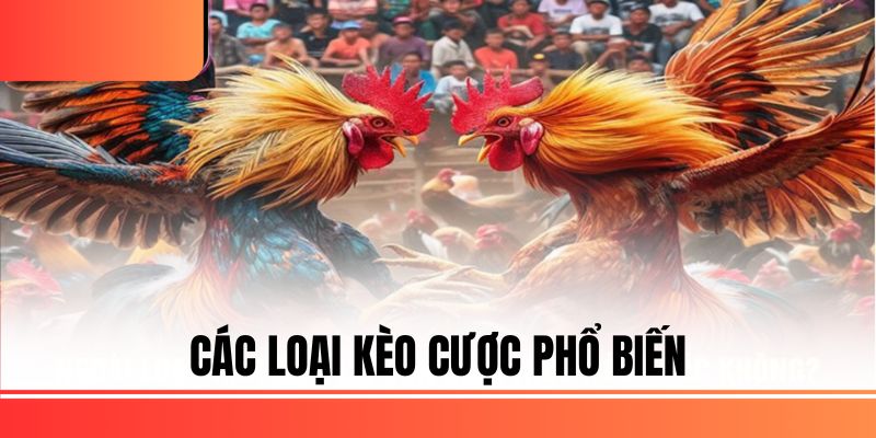 Các loại kèo cược phổ biến