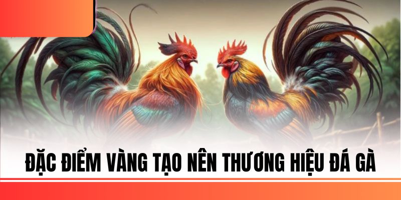 Đặc điểm vàng tạo nên thương hiệu đá gà