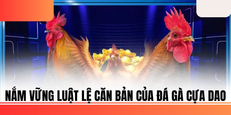Nắm vững luật lệ căn bản của đá gà cựa dao