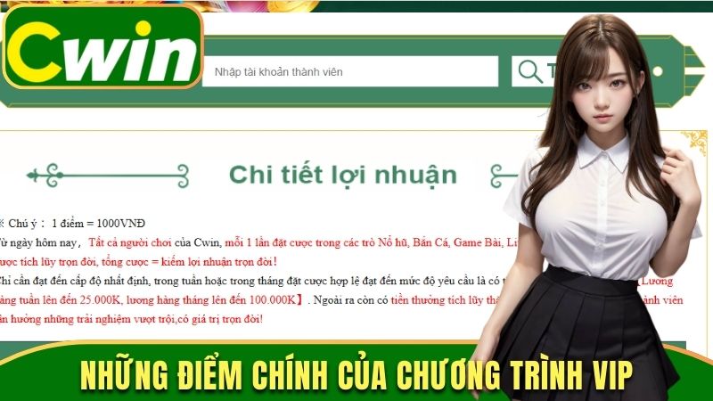 Những điểm chính của chương trình VIP
