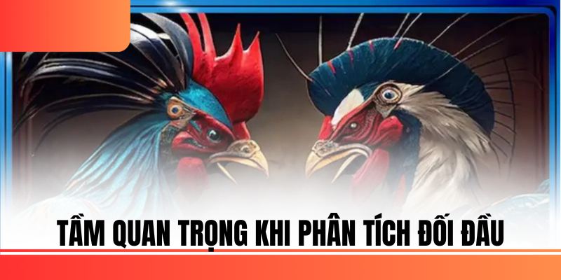 Tầm quan trọng khi phân tích đối đầu