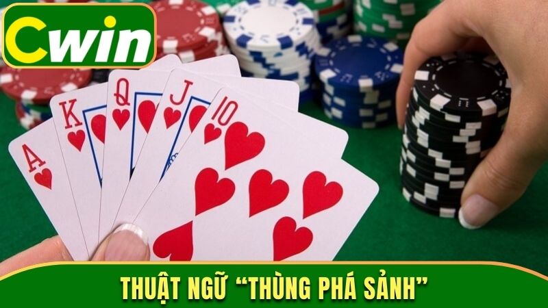 Thuật ngữ “thùng phá sảnh”