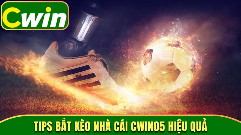 Tips bắt kèo nhà cái Cwin05 hiệu quả