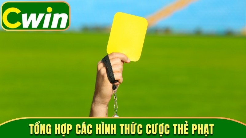 Tổng hợp các hình thức cược thẻ phạt 
